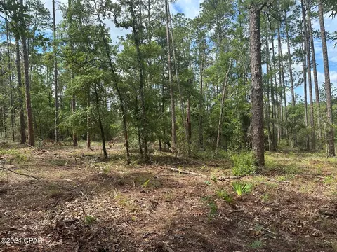 000 Tempest Ct, Chipley, FL 32428 photo 2