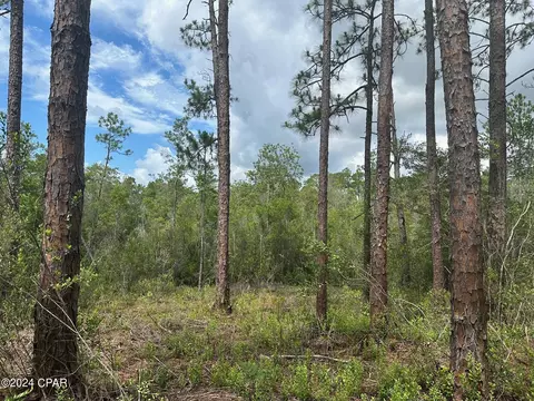 000 Tempest Ct, Chipley, FL 32428 photo 11
