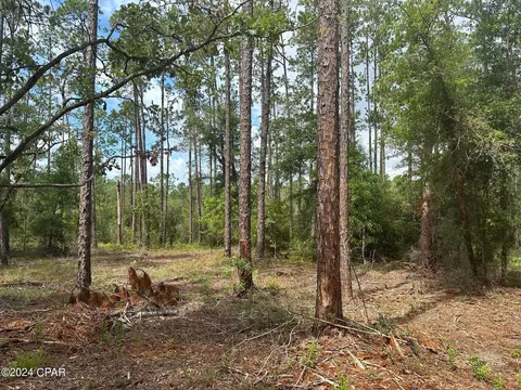 000 Tempest Ct, Chipley, FL 32428