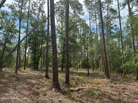 000 Tempest Ct, Chipley, FL 32428 photo 3