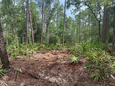 000 Tempest Ct, Chipley, FL 32428 photo 10