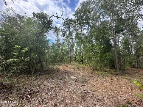000 Tempest Ct, Chipley, FL 32428 photo 7