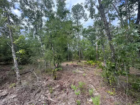 000 Tempest Ct, Chipley, FL 32428 photo 6