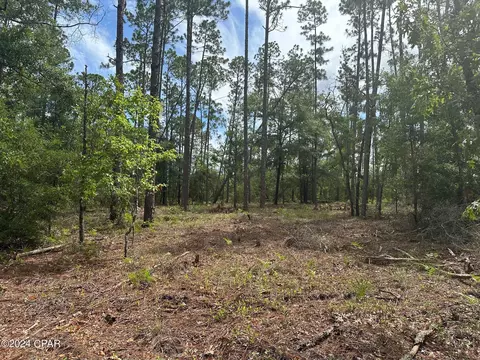000 Tempest Ct, Chipley, FL 32428 photo 5