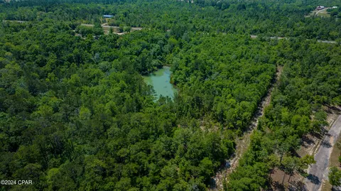10 47 Roche, Chipley, FL 32428 photo 3