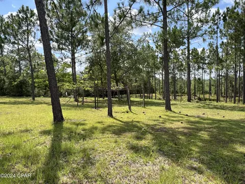 2828 Highview Trl, Chipley, FL 32428 photo 8
