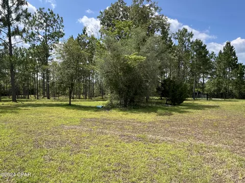 2828 Highview Trl, Chipley, FL 32428 photo 7