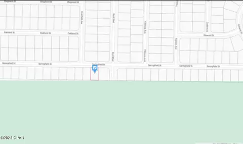 0 Springfield St, Chipley, FL 32428 photo 6