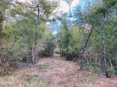0 Blue Spgs, Youngstown, FL 32466