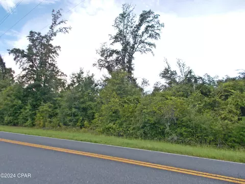 lot3 Fairview Rd, Alford, FL 32420