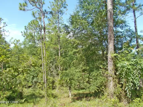 lot10 Castle Cir, Alford, FL 32420