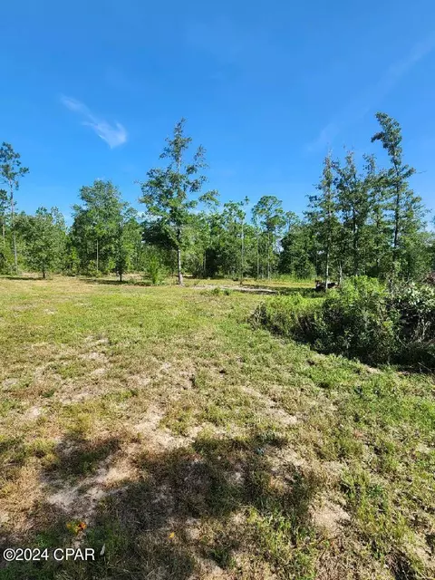 3321 Easy St, Chipley, FL 32428 photo 1