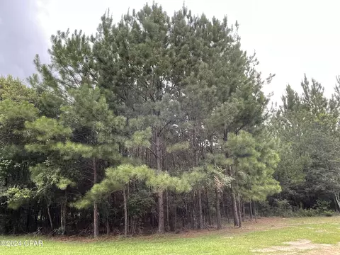 0000 Applefield Ln, Bonifay, FL 32425