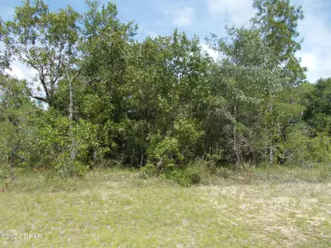 lot22 Clement Ct, Chipley, FL 32428 photo 3