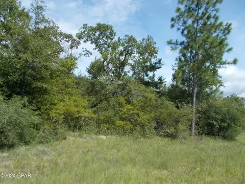 lot2 Coronado Dr, Chipley, FL 32428 photo 2