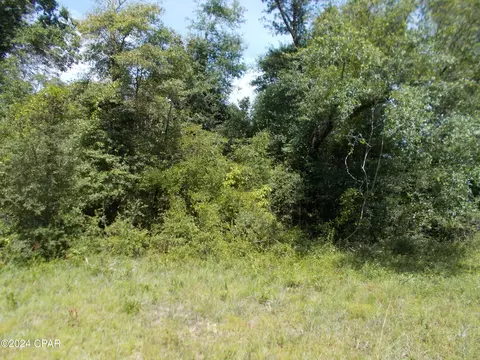 lot36 Darlington Dr, Chipley, FL 32428