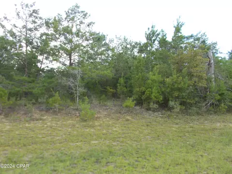 lot3 Blackstone Dr, Chipley, FL 32428