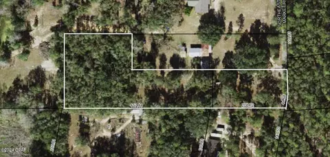 tbd NE New Market Rd #R, Hosford, FL 32334