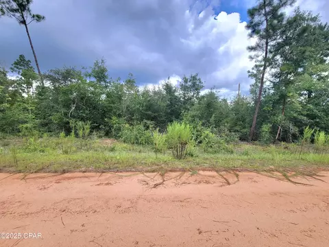 00 Apache Dr, Alford, FL 32420 photo 3