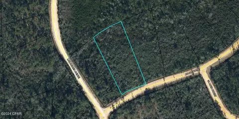 00 Apache Dr, Alford, FL 32420 photo 4