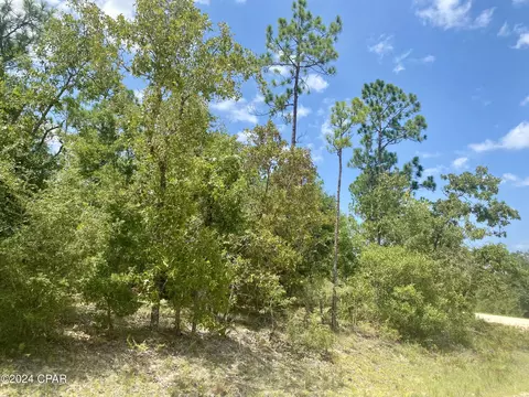 lot13 Noble Cir, Alford, FL 32420