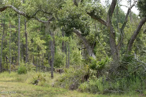 00 Lagrange Rd, Freeport, FL 32439 photo 2