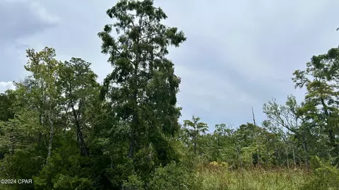 0 N A, Vernon, FL 32462 photo 30