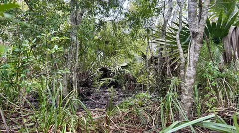 0 N A, Vernon, FL 32462 photo 31