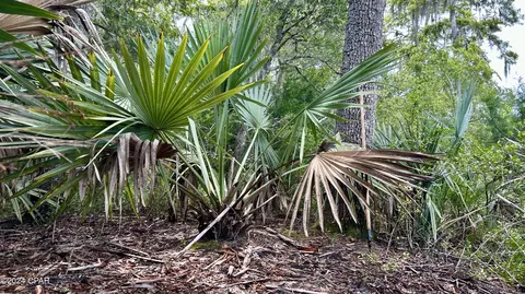 0 N A, Vernon, FL 32462 photo 14