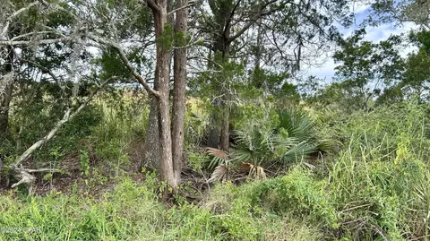 0 N A, Vernon, FL 32462 photo 17