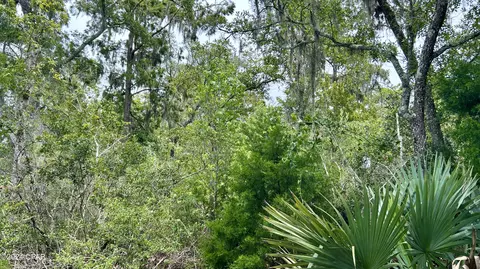 0 N A, Vernon, FL 32462 photo 15