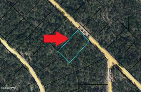 lot19 Dorcas Rd, Marianna, FL 32448
