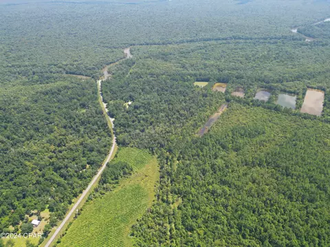 000 Cr 381, Wewahitchka, FL 32465