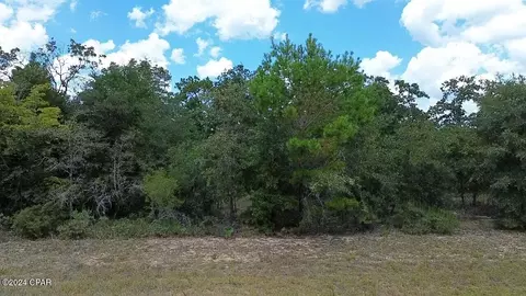 lot9 Greenview Dr, Chipley, FL 32428 photo 3