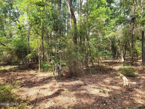 2964 Monique Ln, Chipley, FL 32428 photo 24