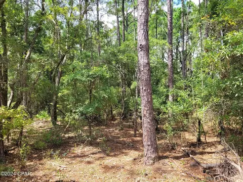2964 Monique Ln, Chipley, FL 32428 photo 25