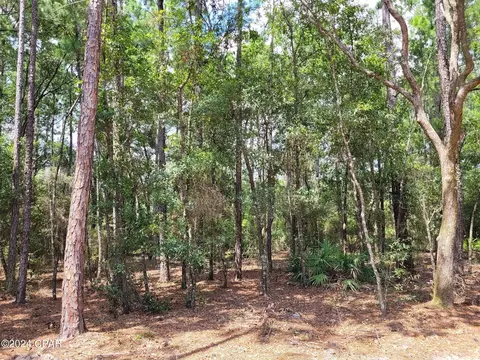 2964 Monique Ln, Chipley, FL 32428 photo 26