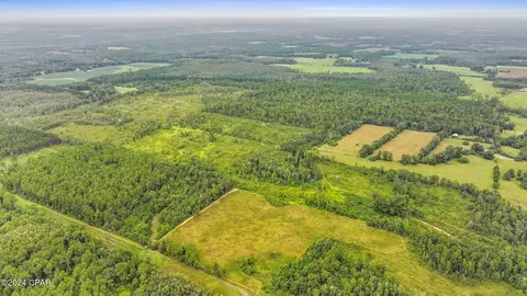 Off Cope Road, Chipley, FL 32428 photo 2