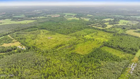 Off Cope Road, Chipley, FL 32428 photo 3