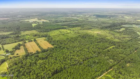 Off Cope Road, Chipley, FL 32428 photo 5