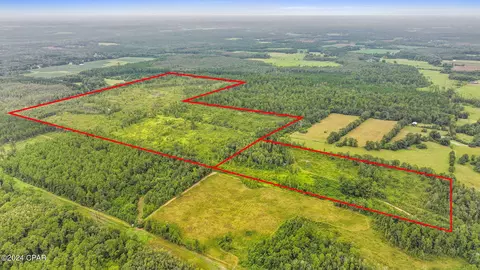 Off Cope Road, Chipley, FL 32428 photo 6