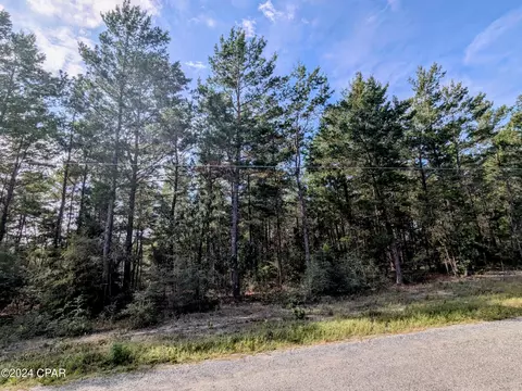 tbd E Iris Ln, Defuniak Springs, FL 32433