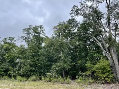 lot6 Cavalier Dr, Chipley, FL 32428 photo 8