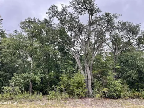 lot6 Cavalier Dr, Chipley, FL 32428 photo 5