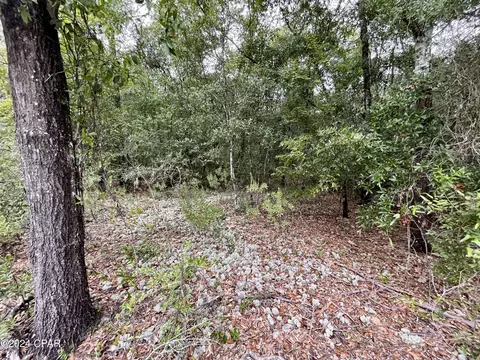 lot6 Cavalier Dr, Chipley, FL 32428 photo 9