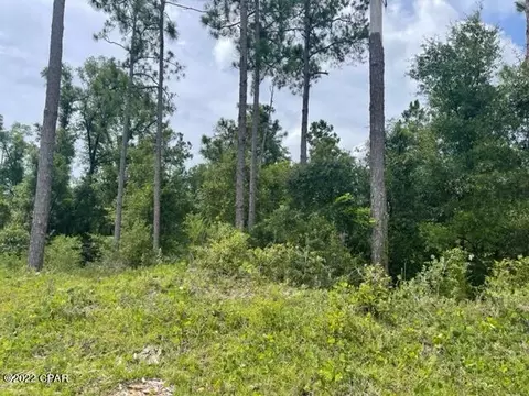 0 Mt Tabor Rd, Marianna, FL 32446