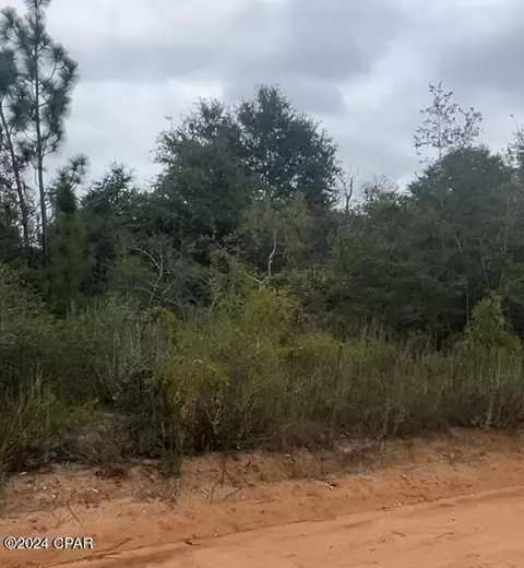 00 Akers Trl, Chipley, FL 32428 photo 2