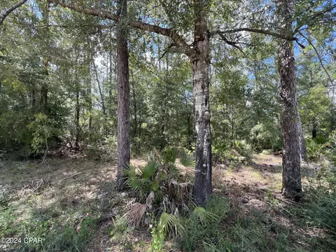 000 NW Longleaf Rd, Fountain, FL 32438