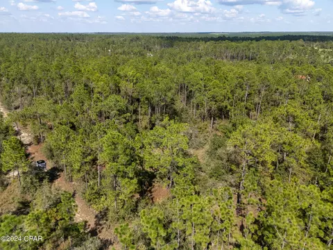 0000 Seminole Rd, Chipley, FL 32428 photo 11