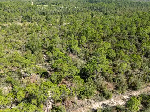 0000 Seminole Rd, Chipley, FL 32428 photo 9
